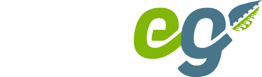 Eco Transformadora de Gomas
