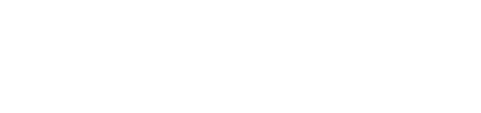 BlackForce